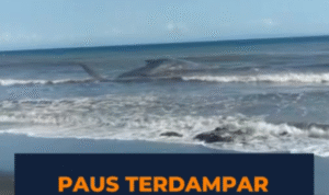 Screenshot 2026-05-05 234742